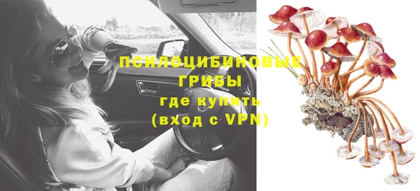 стаф Краснотурьинск