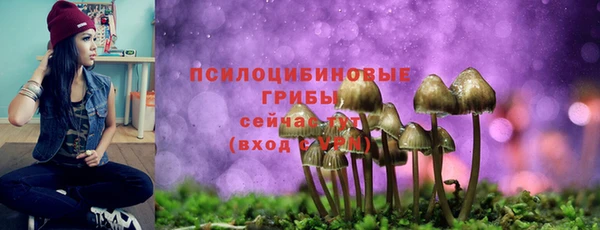 соль ск Краснослободск