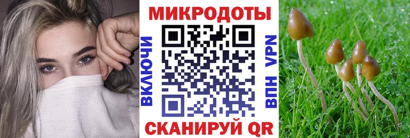 ОМГ ОМГ вход  цена наркотик  Иваново  Псилоцибиновые грибы прущие грибы 